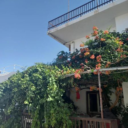 Ampelos Andros Μπατσί Εξωτερικό φωτογραφία